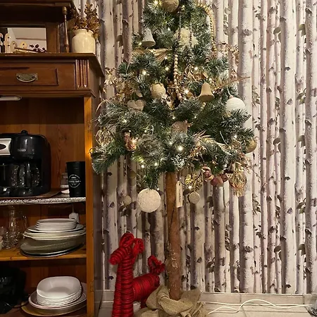 Brzozowy Gaj Guest house
