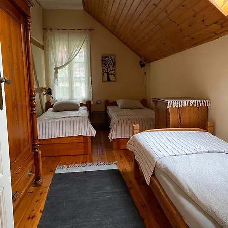 Brzozowy Gaj Karpacz