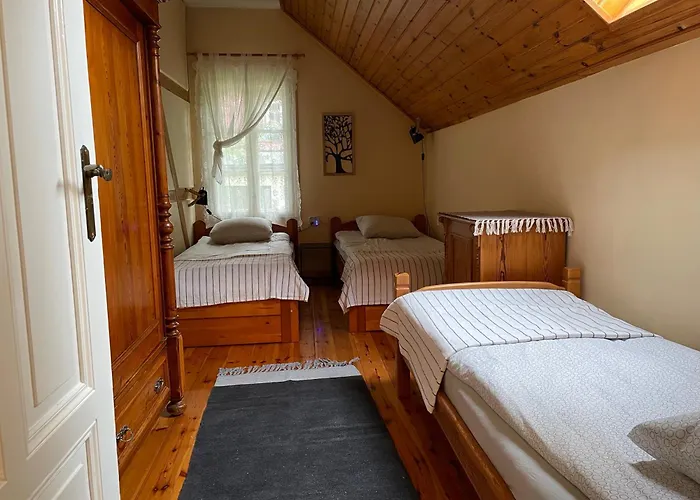 Brzozowy Gaj Karpacz